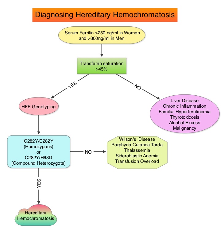 hemochromatosis gene
