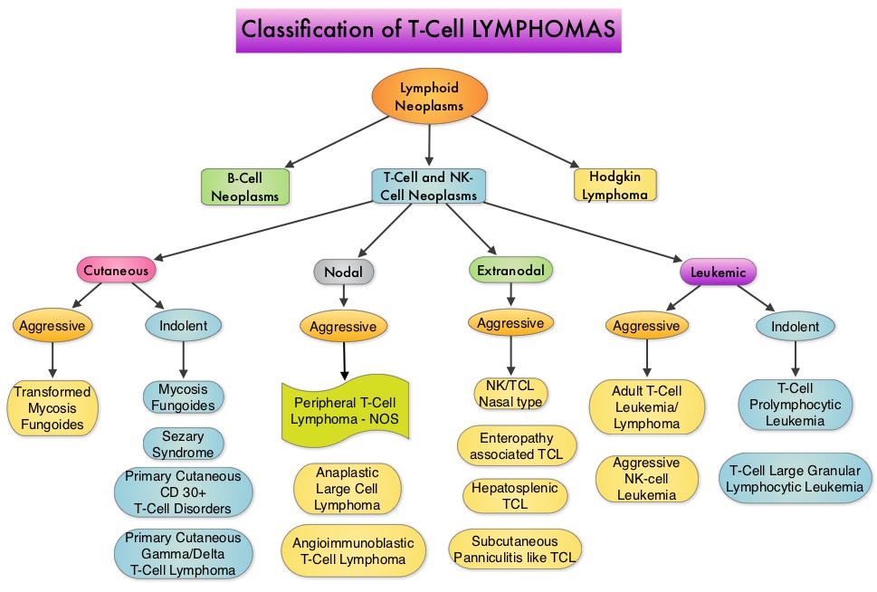 Classification of T-Cell Lymphomas 