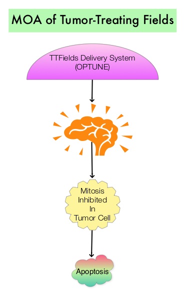 Mechanism-of-Action-of-Tumor-Treating-Fields