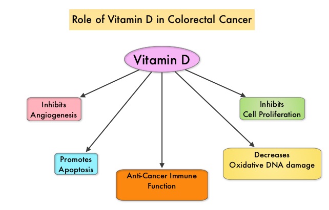 Role-of-Vitamin-D-in-Colorectal-Cancer