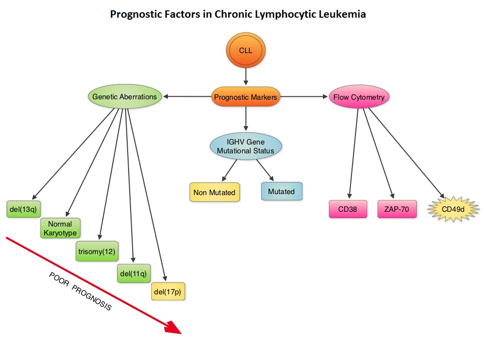 Prognostic-Factors-in-Chronic-Lymphocytic-Leukemia