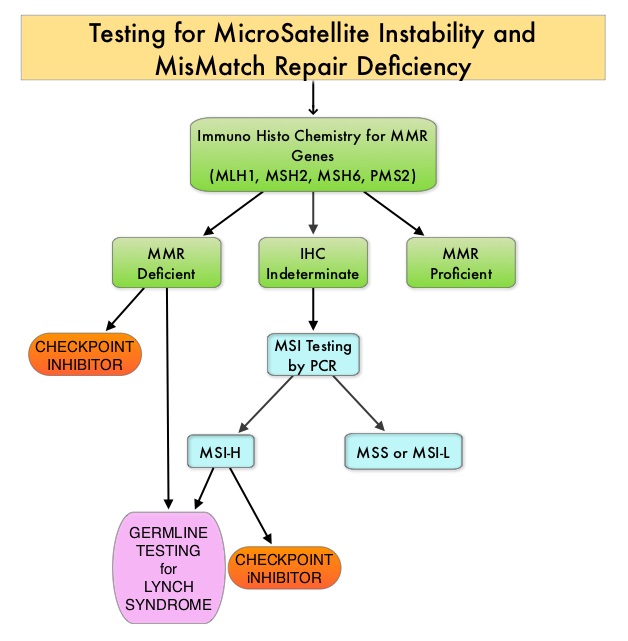 Testing-for-MicroSatellite-Instability-and-MisMatch-Repair-Deficiency