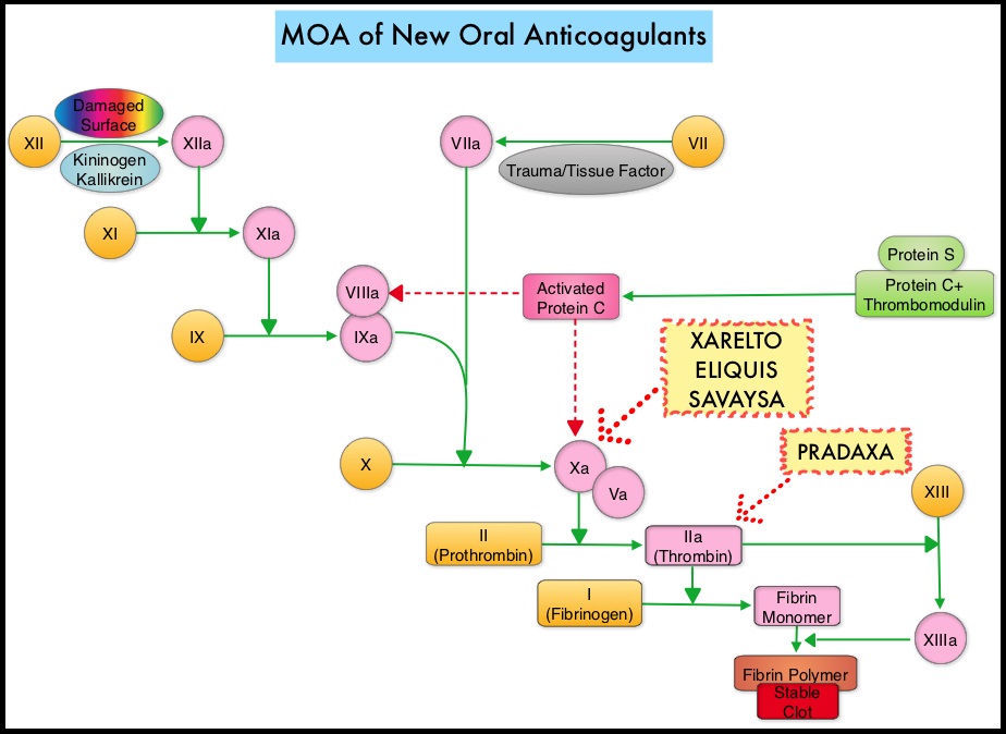 MOA-of-New-Oral-Anticoagulants