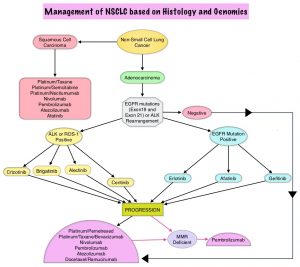 Management-of-NSCLC-based-on-Histology-and-Genomics