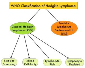 WHO-Classification-of-Hodgkin-Lymphoma