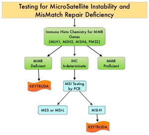 Testing-for-MicroSatellite-Instability-and-MisMatch-Repair-Deficiency