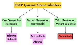 EGFR-Tyrosine-Kinase-Inhibitors