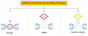 CRISPR-Cas9-Nuclease-Gene-Editing-Technique