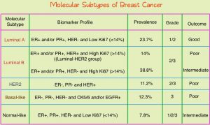 Molecular-Subtypes-of-Breast-Cancer