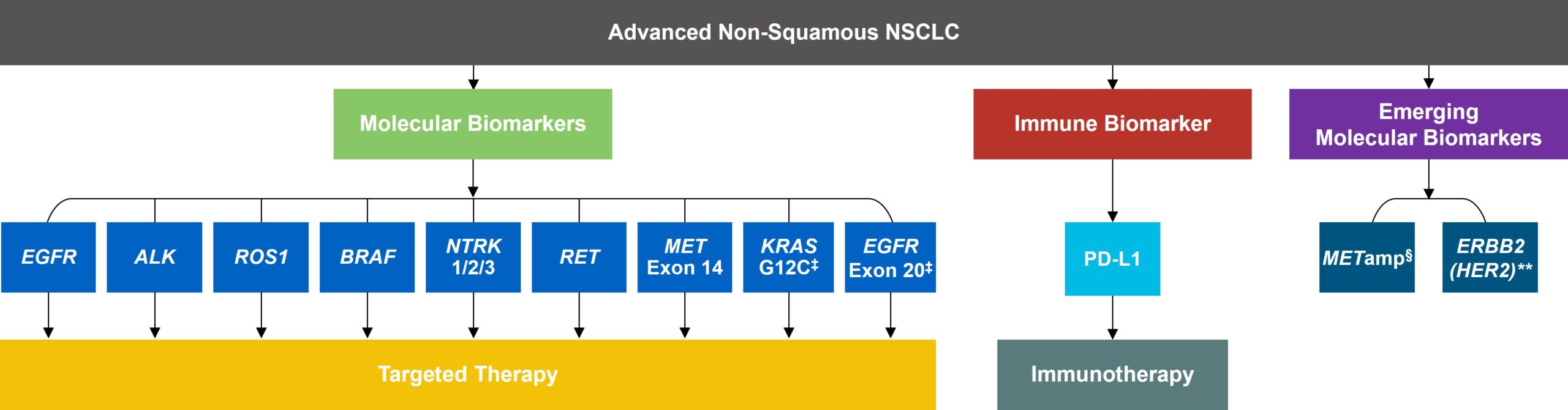Advanced-Non-Squamous-NSCLC