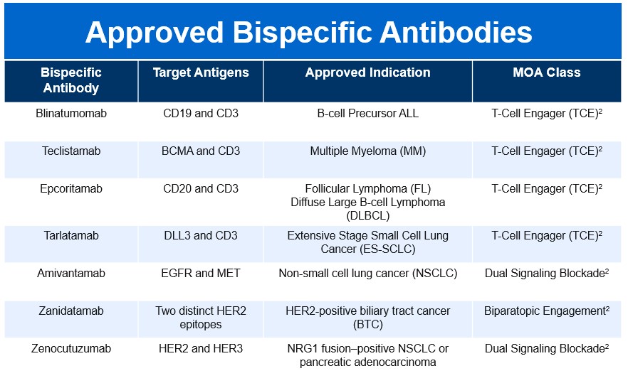 Approved-Bispecific-Antibodies